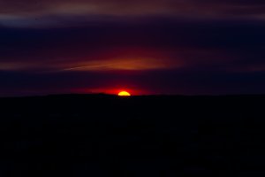 20220419Sunset-125.jpg